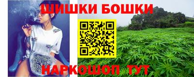 шишки Обнинск