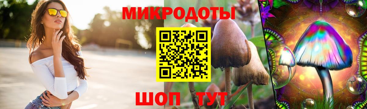 Черногорск  Псилоцибиновые грибы ЛСД  Вход с VPN 